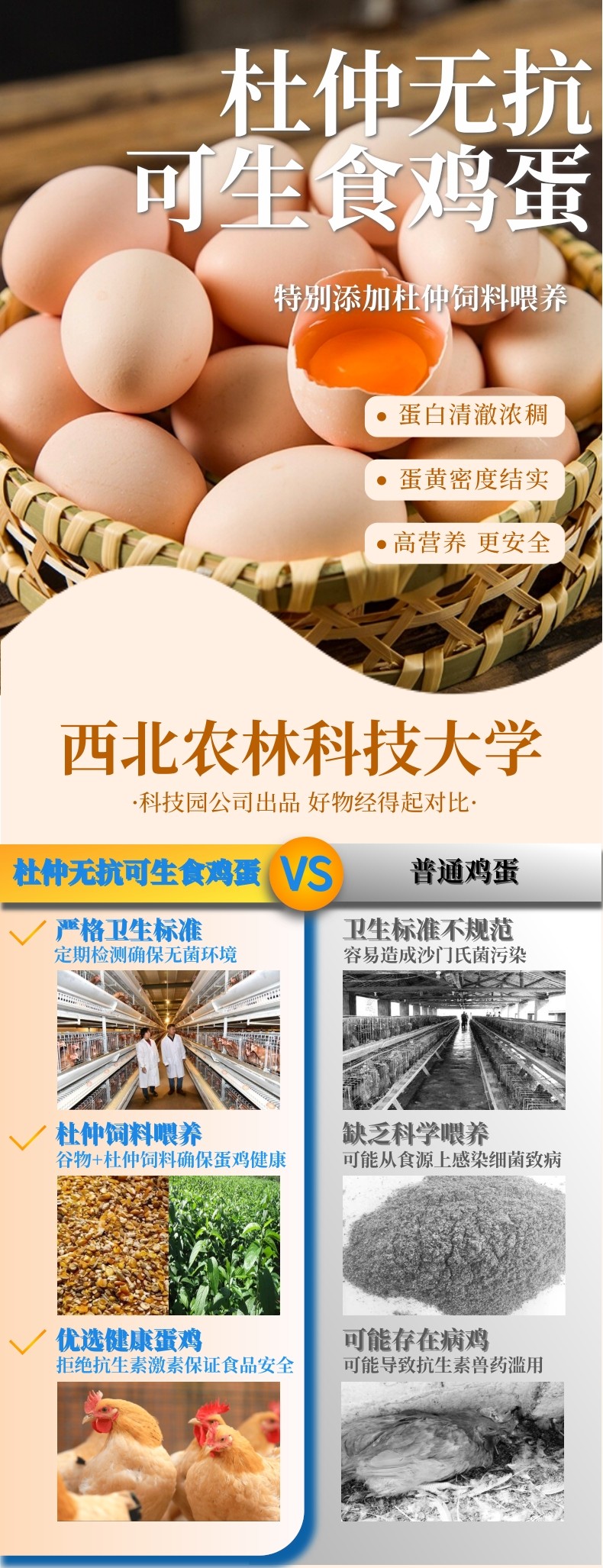 详情页1(1)