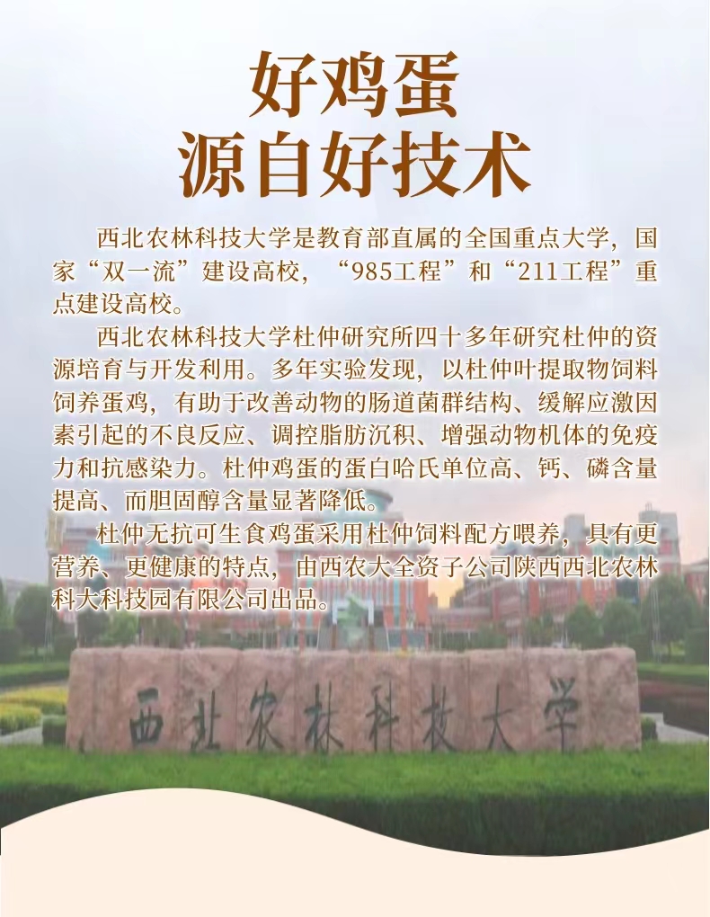 详情页2