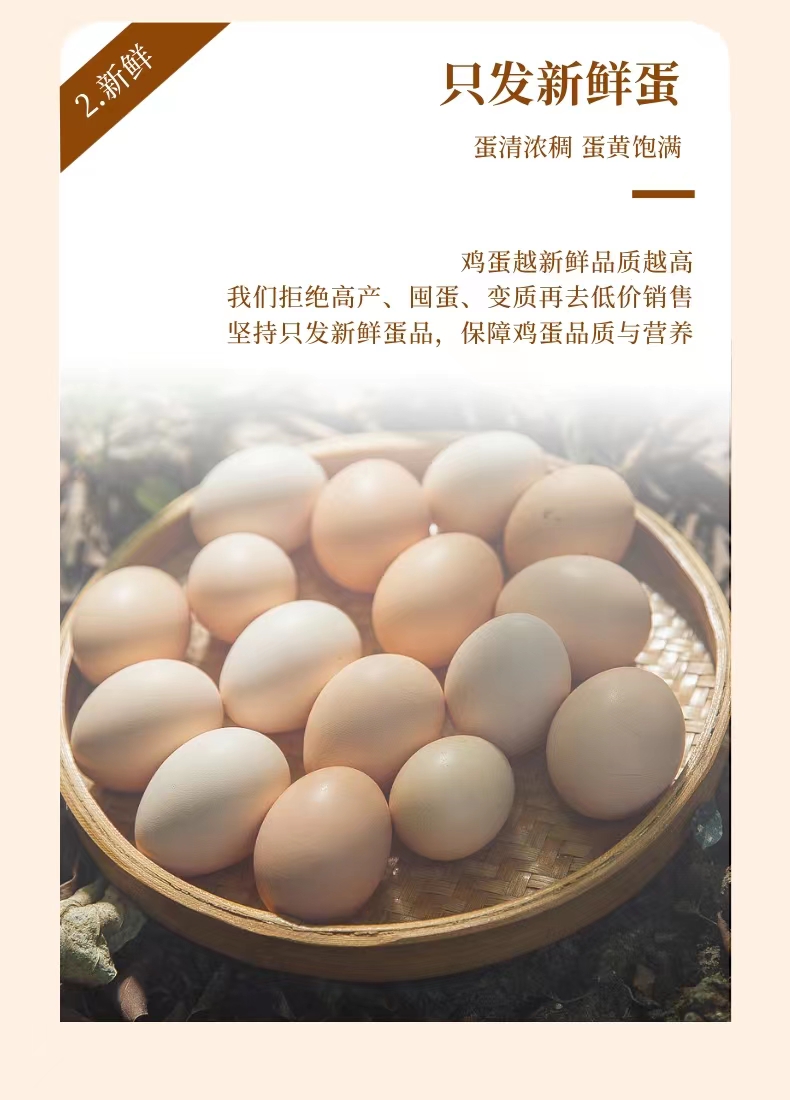 详情页5