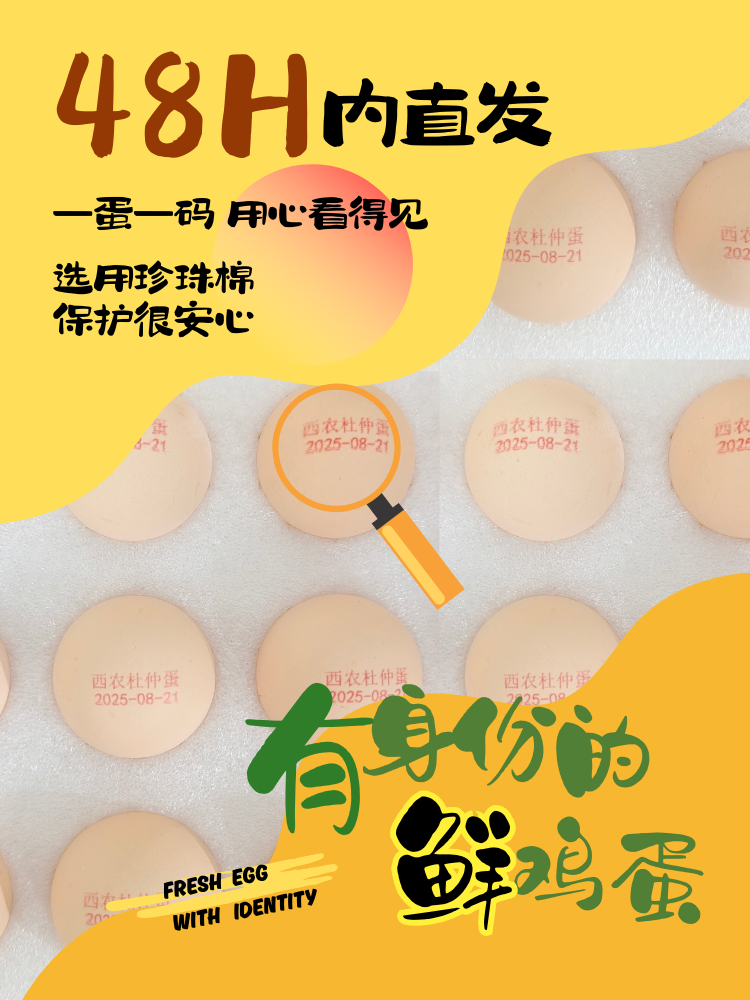 详情4