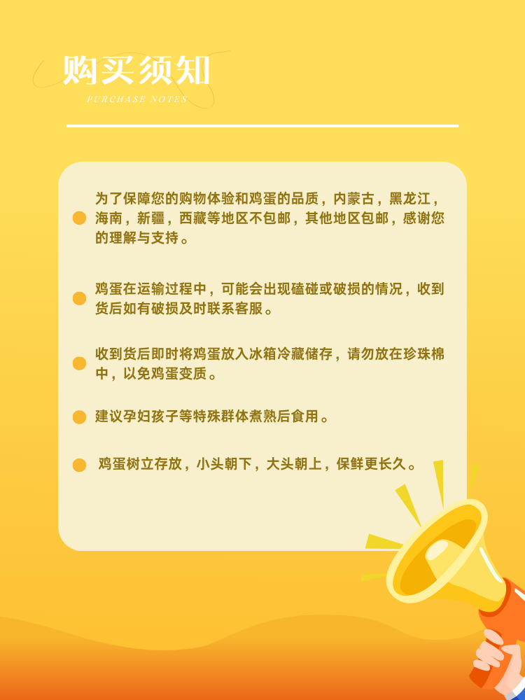 详情9