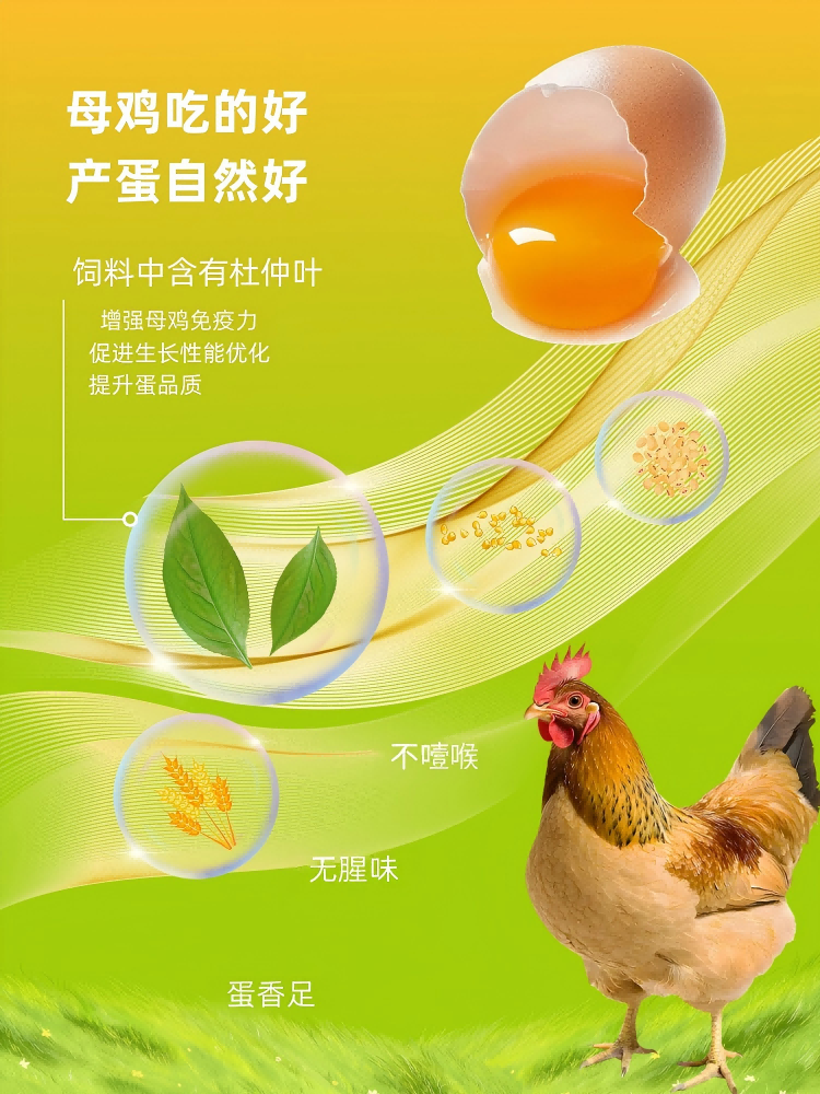 详情2