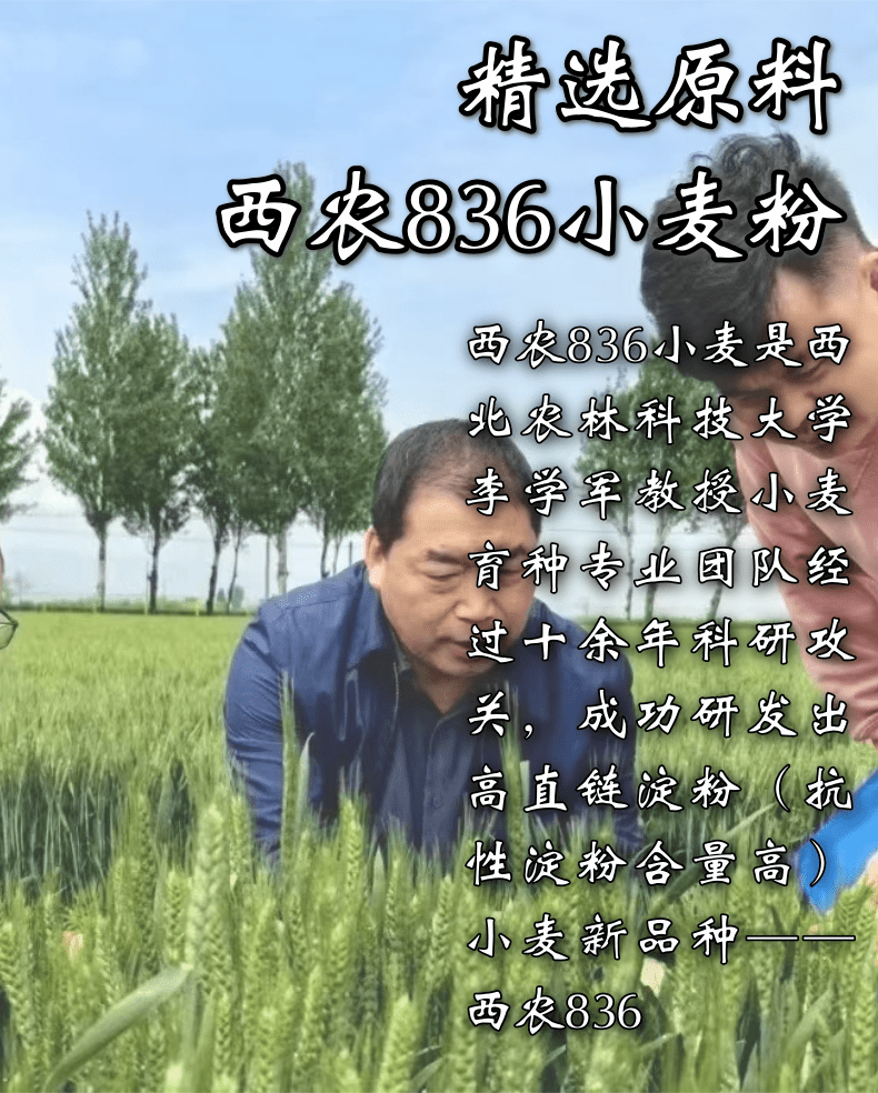 详情页2